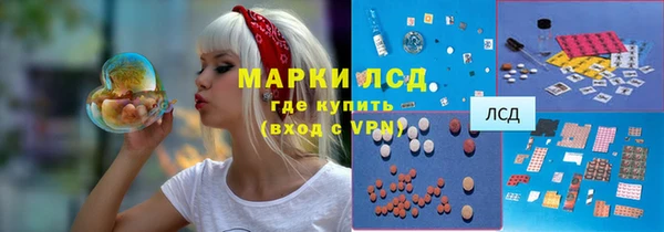 индика Беломорск