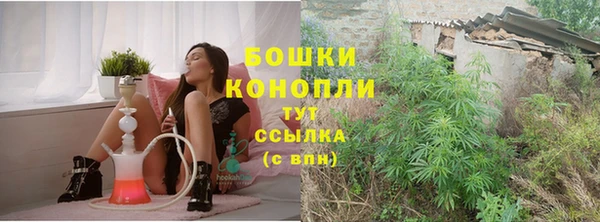 индика Беломорск
