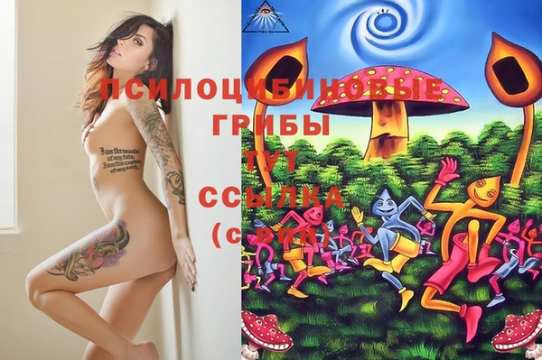 jwh Белокуриха