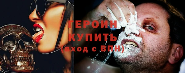 индика Беломорск